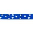 [227R-41628] [227R] Elastic With Woven Star 25 mm (Cobalt)