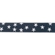 [227R-41630] [227R] Elastic With Woven Star 25 mm (Grey)