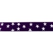 [227R-41631] [227R] Elastic With Woven Star 25 mm (Purple)