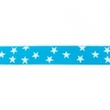 [227R-41632] [227R] Elastic With Woven Star 25 mm (Aqua)