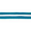 [242R-41786] [242R] Webbing Stripe Wide (Petrol)