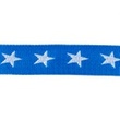 [247R-41766] [247R] Webbing Star (Cobalt)