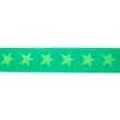 [250R-42497] [250R] Elastic With Woven Star 2-Coloured 40 mm (Apple Green)