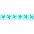 [250R-42506] [250R] Elastic With Woven Star 2-Coloured 40 mm (Mint)