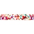 [253R-42479] [253R] Gummiband Bedruckt 25 mm (Blume)
