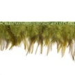 [269R-43337] [269R] Feather Fringe Multi  (Lime)