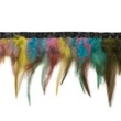 [269R-43335] [269R] Feather Fringe Multi  (Multi)