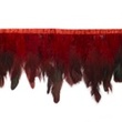 [269R-43342] [269R] Feather Fringe Multi  (Red)