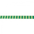 [342R-44060] [342R] Webband Streifen (Apfel Grün)