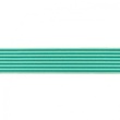 [360R-44200] [360R] Elastic 2-Coloured Stripe (Apple Green)