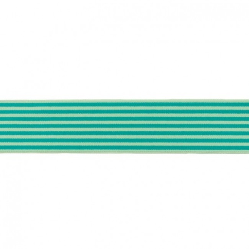 [360R] Elastic 2-Coloured Stripe