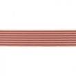 [360R-44202] [360R] Elastiek 2-Kleurig Streep (Zalm)