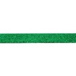 [374R-44317] [374R] Taśma brokatowa 25 mm (Zielone Jabłko)