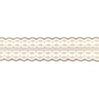 [384R-31560] [384R] Lace Voile (Choco)