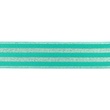 [469R-31877] [469R] Élastique Polyamide Argent 40 mm (Menthe)