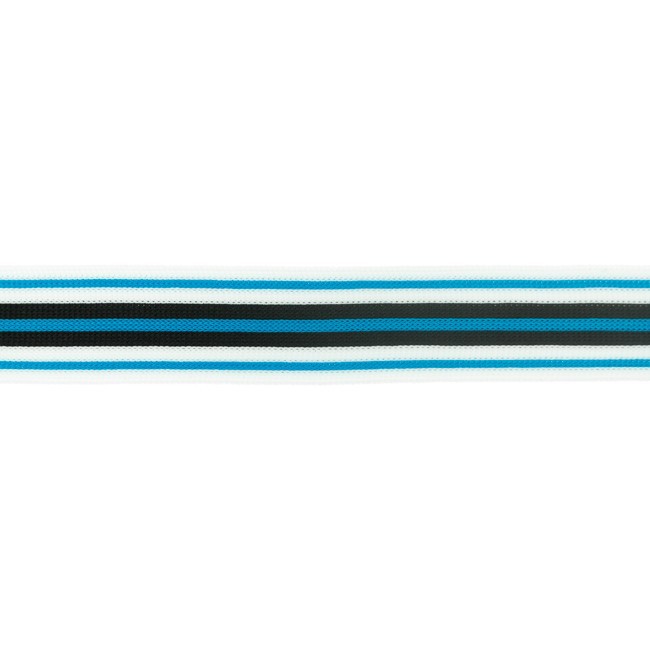 [496R] Seitlichem Streifen Breit Trend