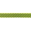 [501R-32675] [501R] Elastico Linea Stampato Pizzo (Lime)
