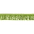[514R-32852] [514R] Fringes 5 cm (Olive Green)