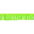 [514R-32858] [514R] Nastro Frangiato 5 cm (Lime)