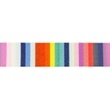 [529R-33131] [529R] Webbing Deco (Vertical Stripes)
