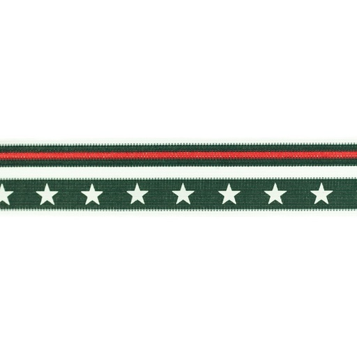 [539R] Bias Binding Star