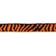 [555R-33438] [555R] Cuff / Mini Bündchen Zebra (Orange)
