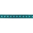 [594R-44823] [594R] Ruban Glitter Etoile (Aqua)