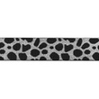 [620R-45272] [620R] Elastiek Cheetah (Zilver)