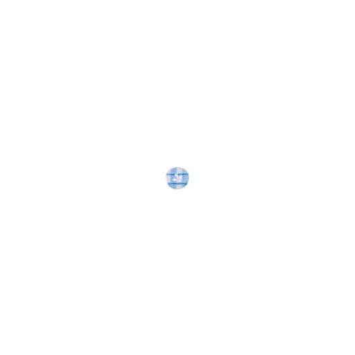 [K020R] Button With Check And Glitter