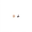 [K023R-43765] [K023R] Cousable Pierres Strass 15 mm (Champagne)