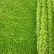[S084L-60741] [S084L] Double Face Teddy (Lime)