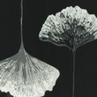[S536R-63900] [S536R] Voile Printed Mix 2 (Ginko)
