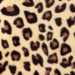 [S550R-63963] [S550R] Imitation Fur Deluxe Leopard (Sand)