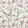 [S932R-181246] [S932R] Poplin Digital Printed Mix 2 (Blossom)