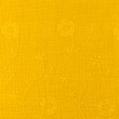 [S899R-181684] [S899R] Double Gauze Embroidered Clover (Ochre)