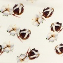 [S935L-181635] [S935L] Double Gauze Cotton Flat Digital Printed Mix 1 (Wild Flower)