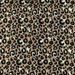 [S951R-182307] [S951R] Double Gauze Cotton Flat Panther (Sand)