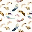 [S1022R-183051] [S1022R] Poplin Digital Printed Mix 15 (Feathers)