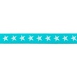 [173R-42807] [173R] Elastická látka s tkanou hvězdou dvoubarevná 20 mm (Tmavě Aqua)