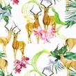 [S1031R-183031] [S1031R] Popelín Digitální Potisk Mix 24 Snoozy Fabrics (Zvířata)