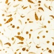 [S1124L-182881] [S1124L] Double Gauze Crinkled Closed Embroidery Flair Digital 1 (Blossom)