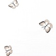 [S1130L-182951] [S1130L] Double Gauze Crinkled Closed Embroidery Butterfly Snoozy Fabrics (White)