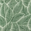 [S1159L-183892] [S1159L] Double Gauze Crinkled Printed Banana Leaf (Old Green)