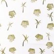 [S1239L-185679] [S1239L] Popeline Stampato In Digitale Mix Olly Snoozy Fabrics (Sabbia)