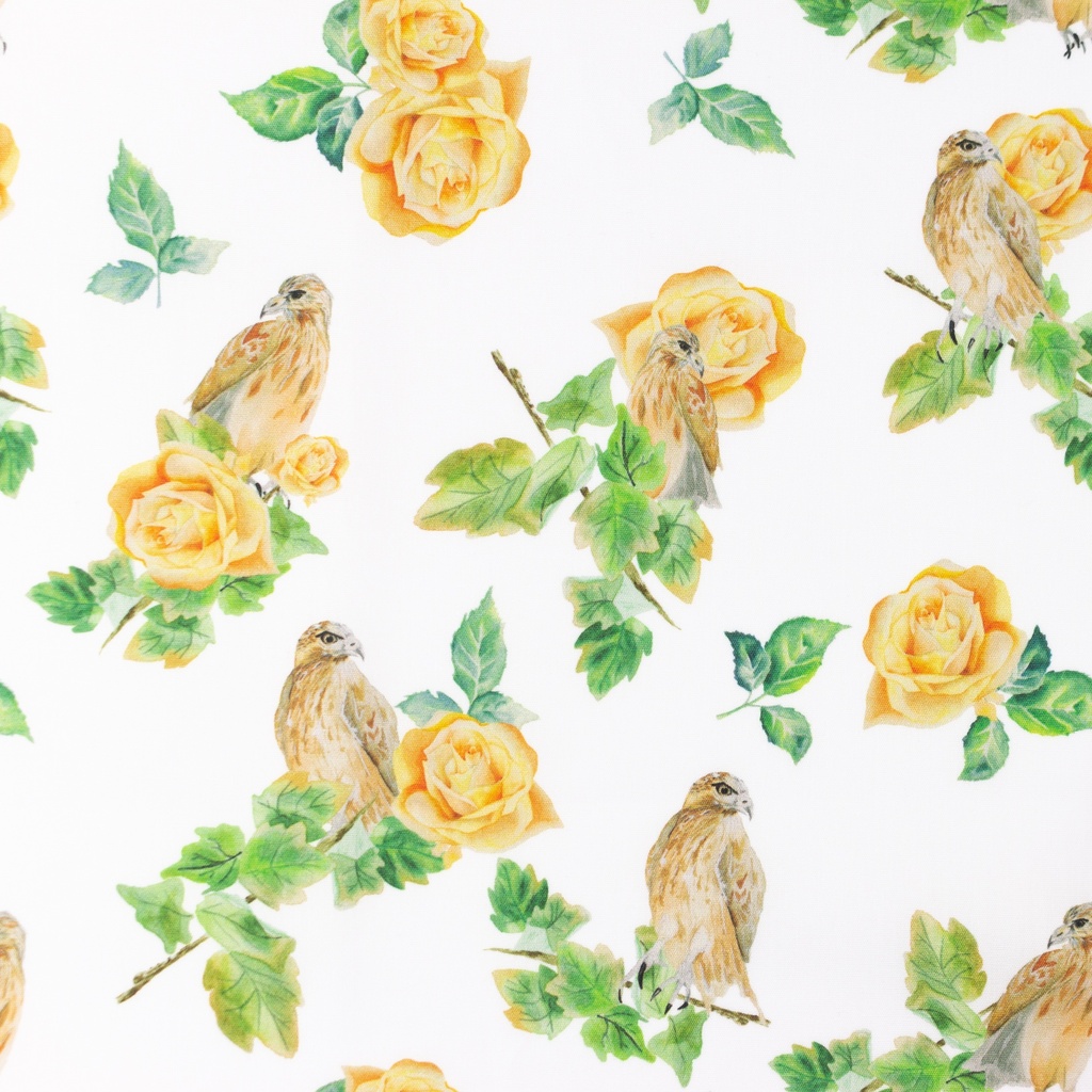 [S1240L] Poplin Digital Printed Mix Dale Snoozy Fabrics