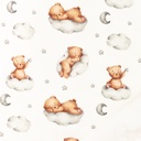 [S1319L-186440] [S1319L] French Terry Digital Printed Teddy (Offwhite)