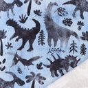 [S1320L-186447] [S1320L] French Terry Digital Printed Jeans Dinosaurs (Light Blue)