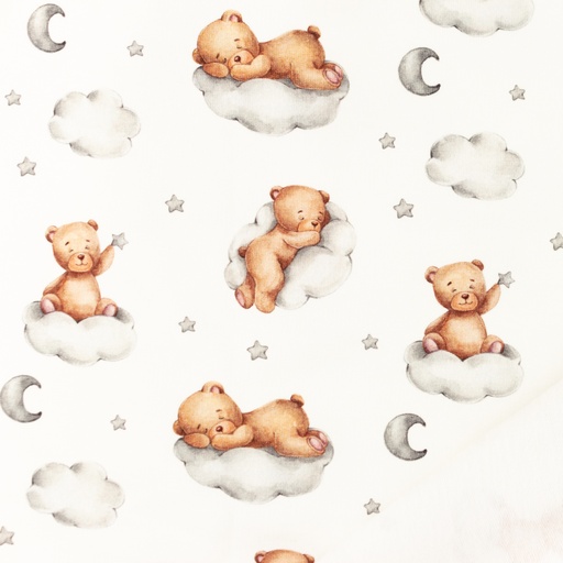 [S1319R] French Terry Digital Printed Teddy