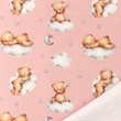 [S1319R-186441] [S1319R] French Terry Digital Printed Teddy (Washed Pink)
