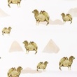 [S1237R-185663] [S1237R] Popeline Digital Gedruckt Mix Aspen Snoozy Fabrics (Kamelie)